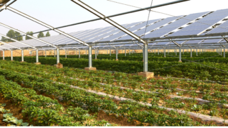 Nuovi incentivi per Impianti Fotovoltaici: FER X e Agrivoltaico