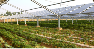 Nuovi incentivi per Impianti Fotovoltaici: FER X e Agrivoltaico